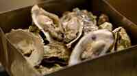 神戸で美味しい牡蠣が食べられるお店・オイスターバーおすすめ10選
