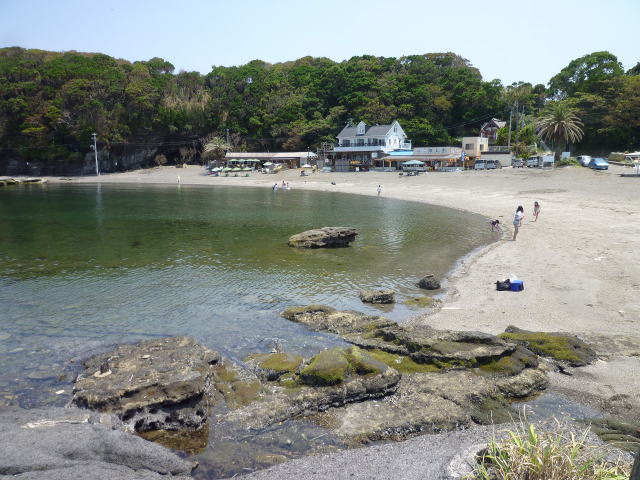 P11300782