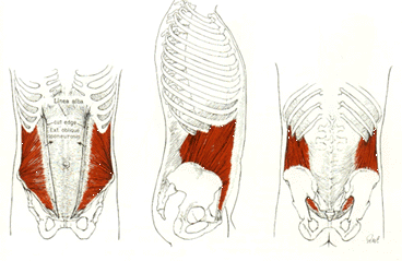 Internal2