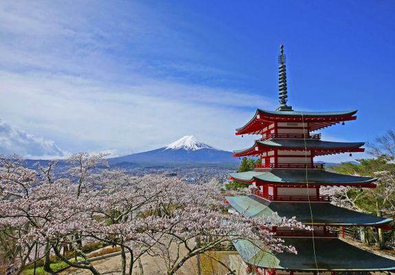 山梨のおすすめお花見スポット10選【穴場から名所まで】